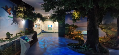 东湖湿地宣教中心